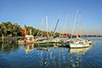 On Lake Palić (Photo: Miodrag Grubački)